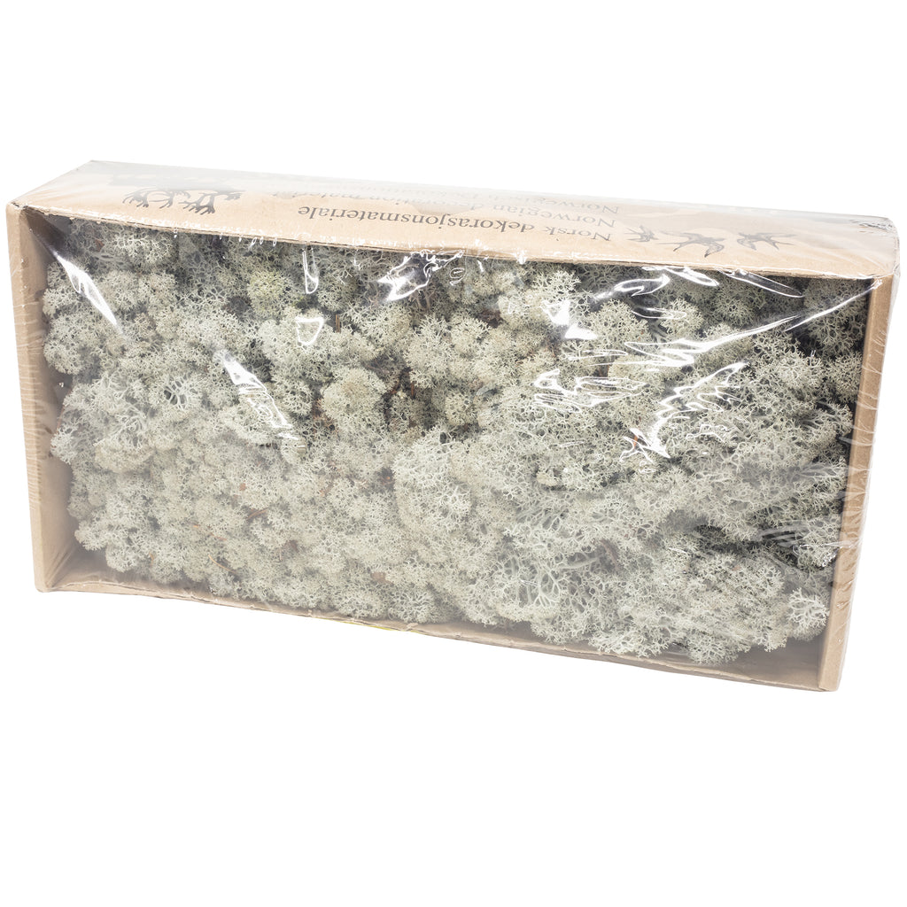 Karton Islandmoos Grau- 500g