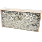 Cardboard Island Moss Grey - 500g