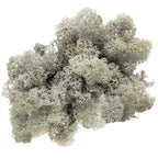 Cardboard Island Moss Grey - 500g