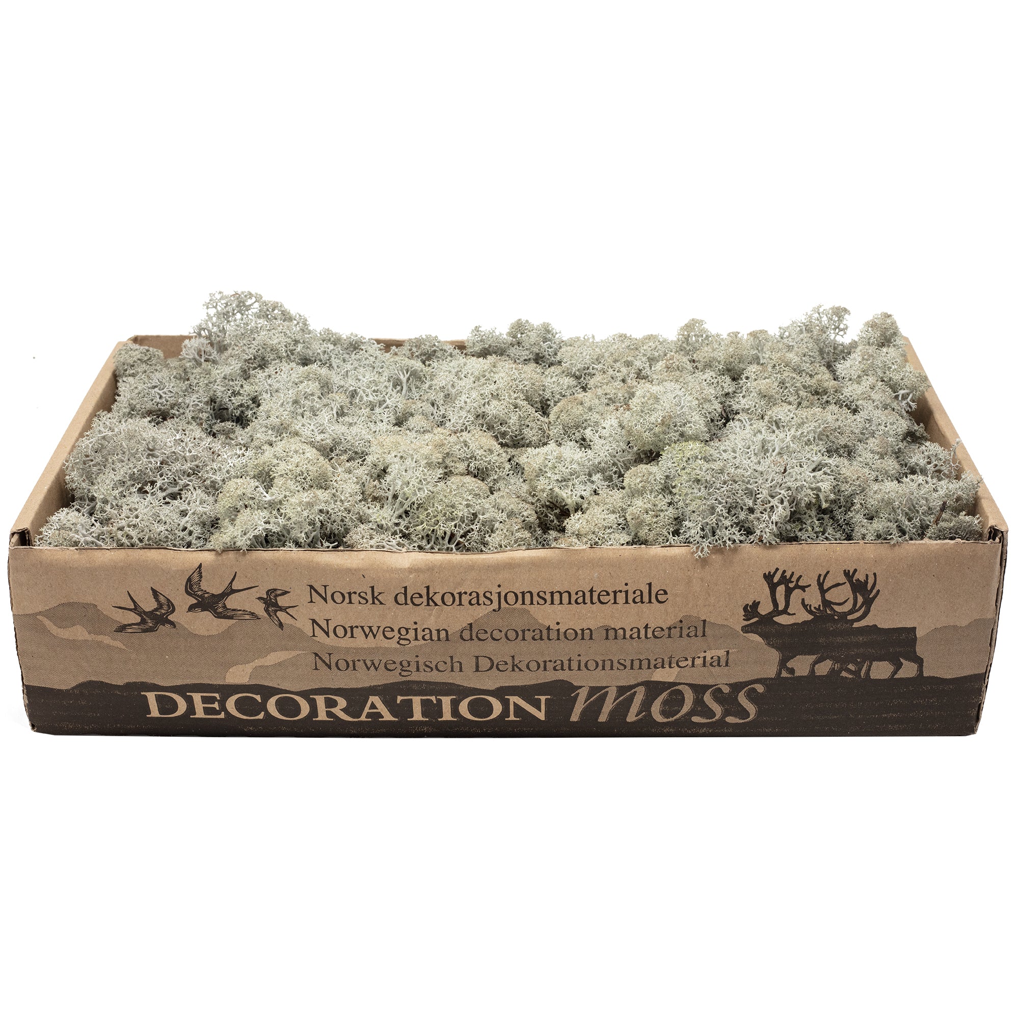 Karton Islandmoos Grau- 500g