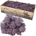 Karton Islandmoos Aubergine - 500g