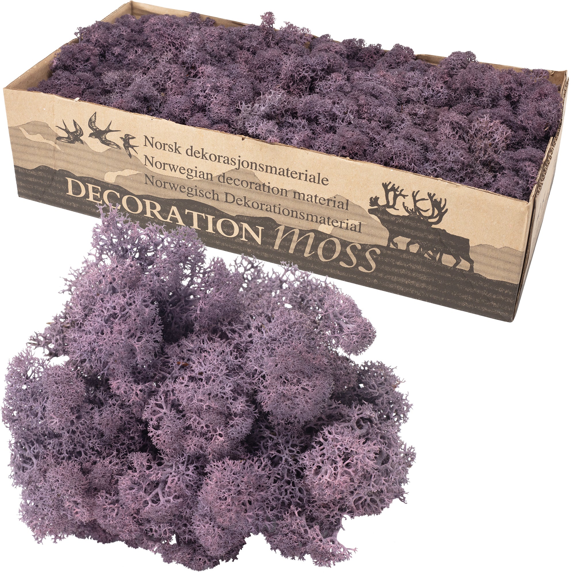 Cardboard Island moss aubergine - 500g