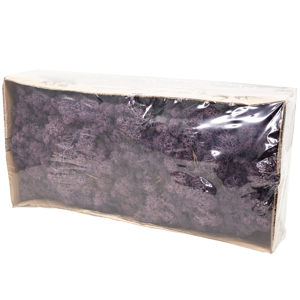 Karton Islandmoos Aubergine - 500g