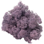 Cardboard Island moss aubergine - 500g