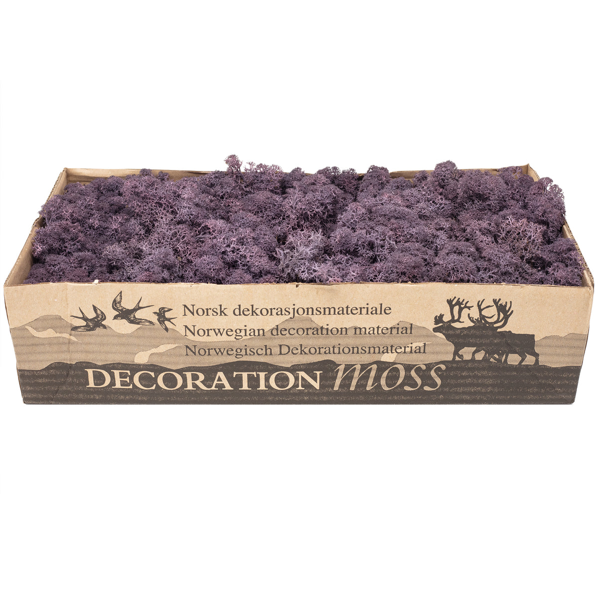 Karton Islandmoos Aubergine - 500g