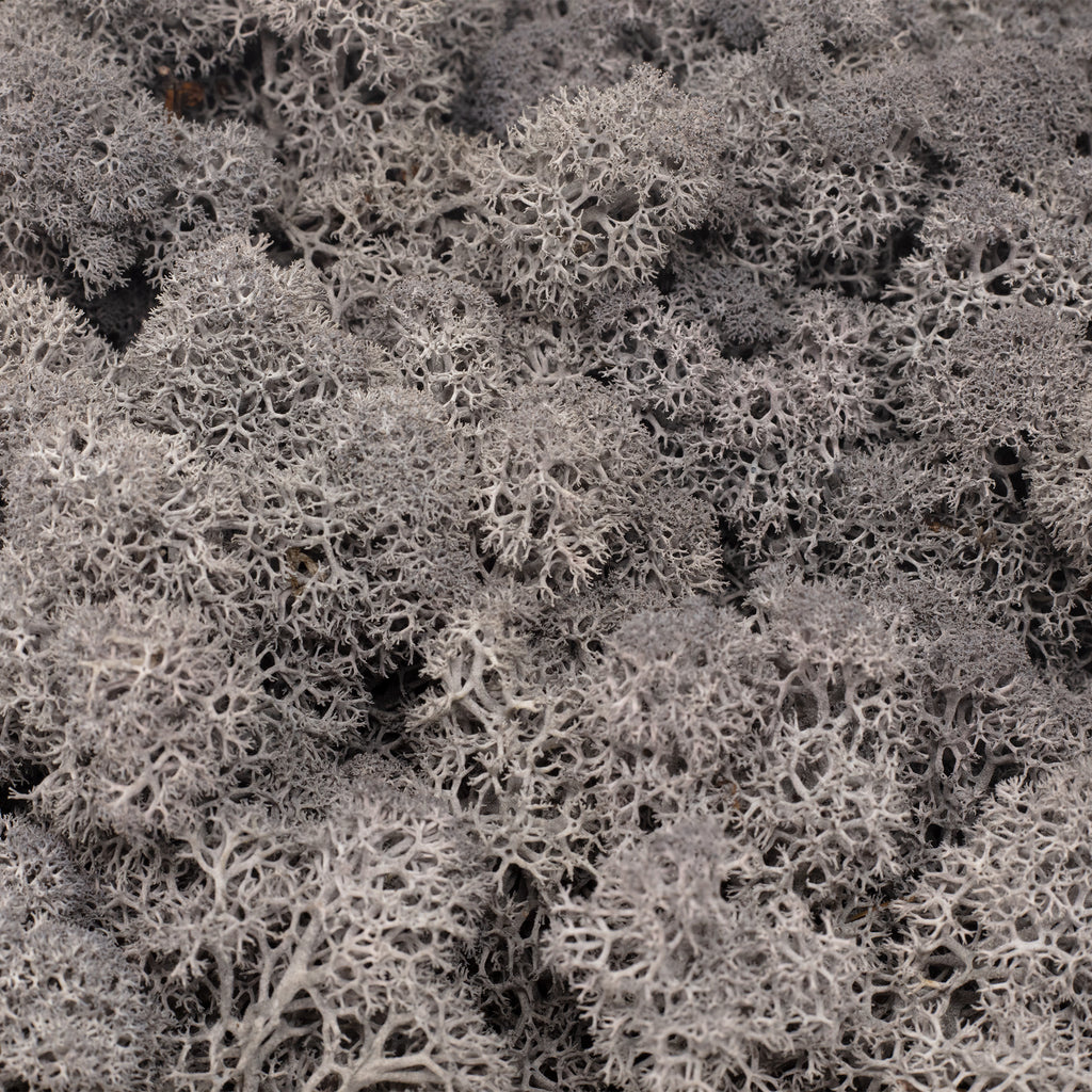 Cardboard Island moss anthracite - 500g