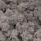 Cardboard Island moss anthracite - 500g