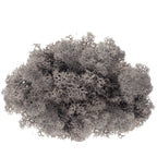 Cardboard Island moss anthracite - 500g