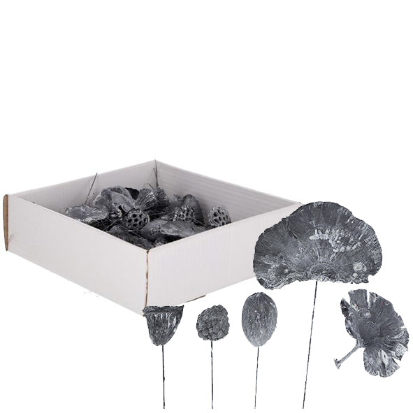Assortiment de mini plantes exotiques sur fil métallique - 50 pièces - gris givré