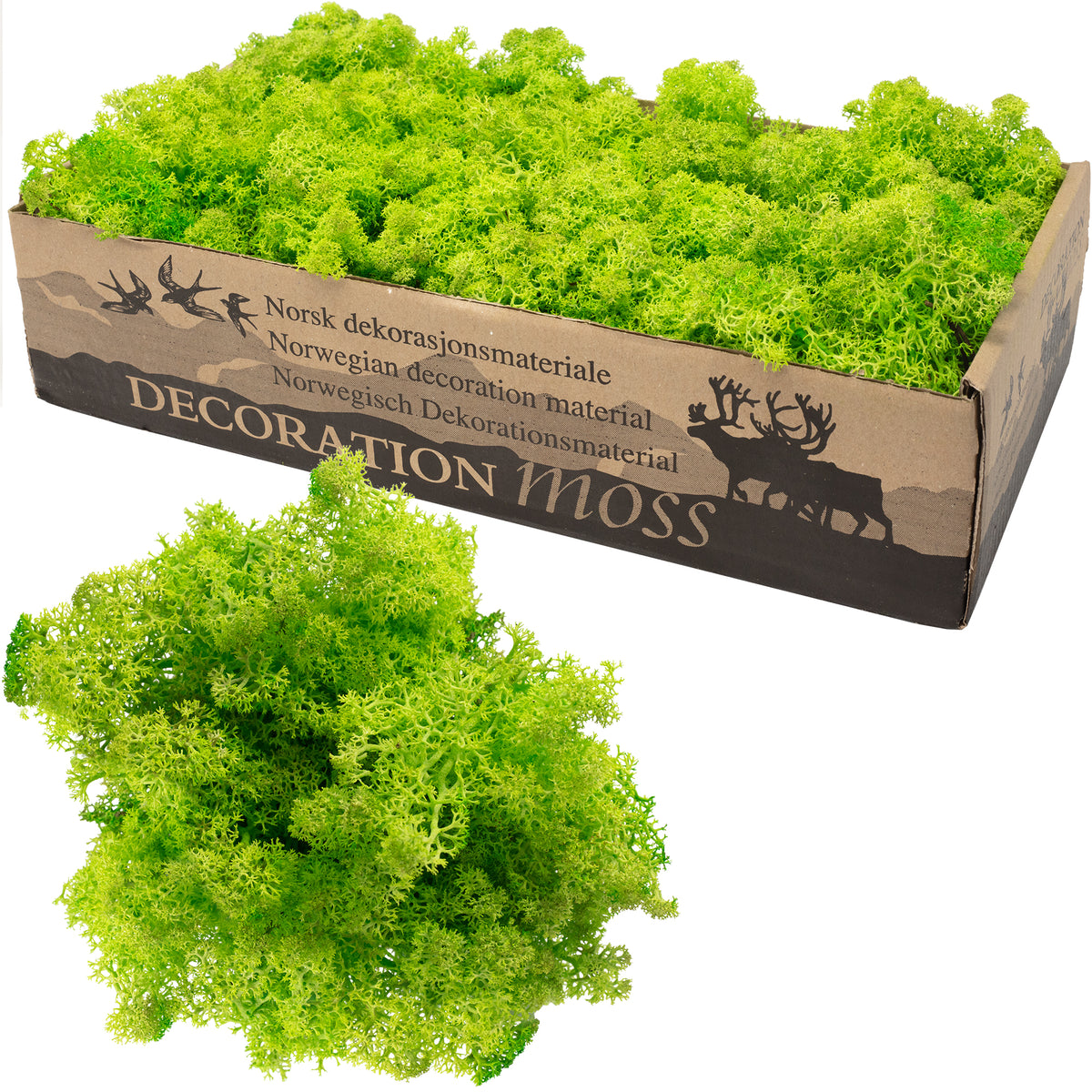 Karton Islandmoos Helles Grasgrün - 500g