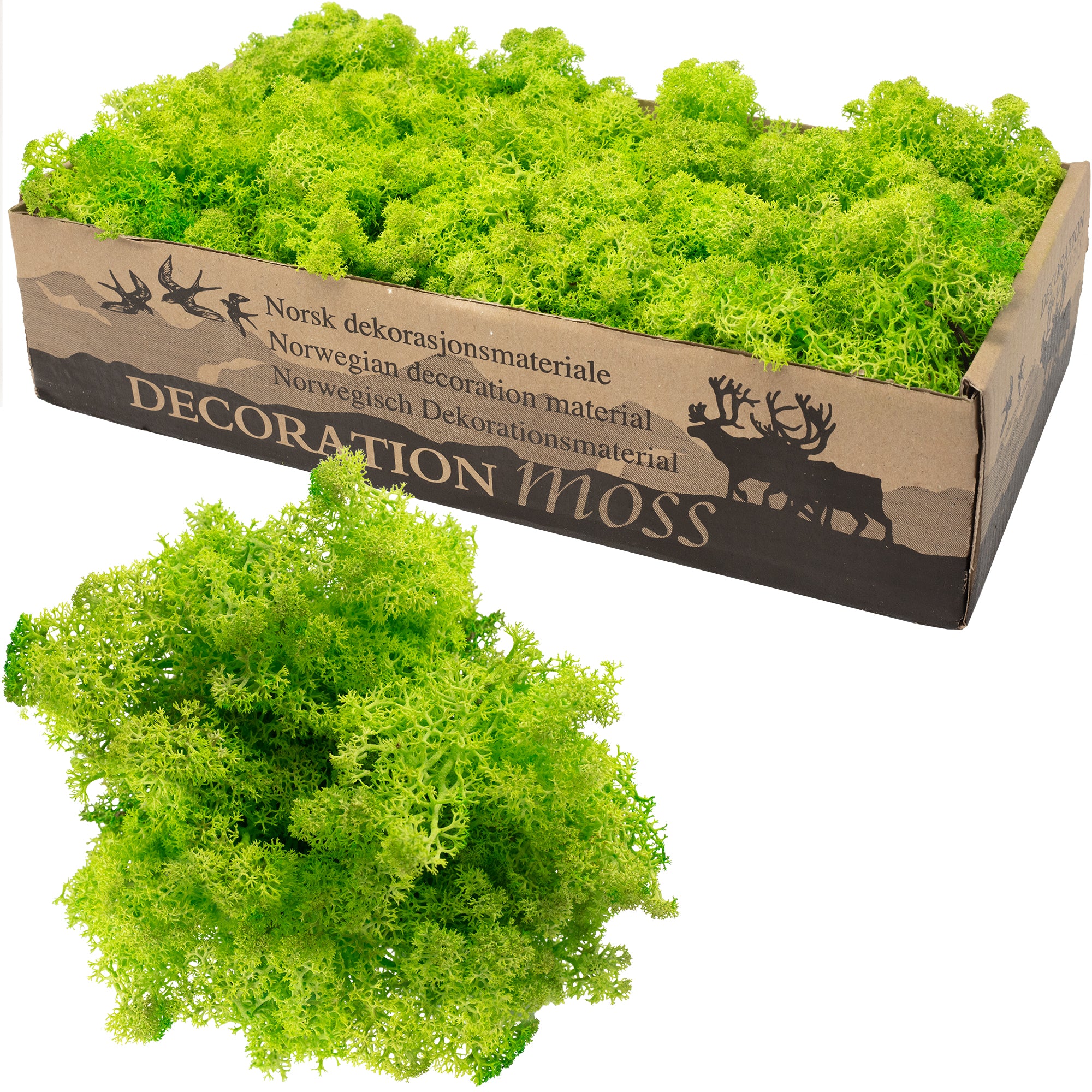 Cardboard Iceland moss, light grass green - 500g