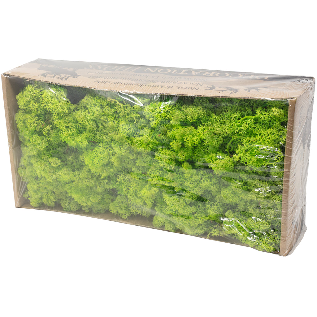 Karton Islandmoos Helles Grasgrün - 500g