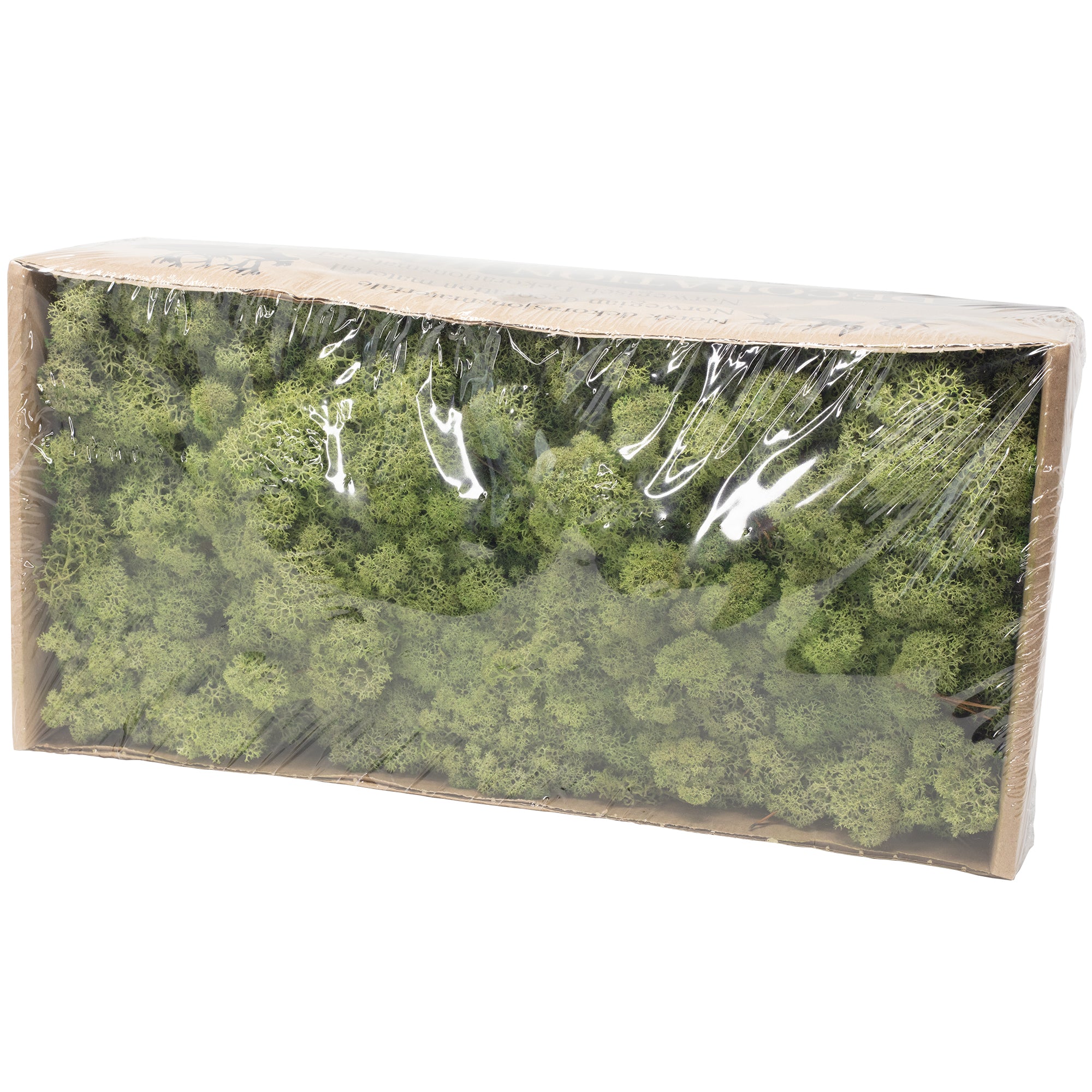 Karton Islandmoos Mittelgrün  500g