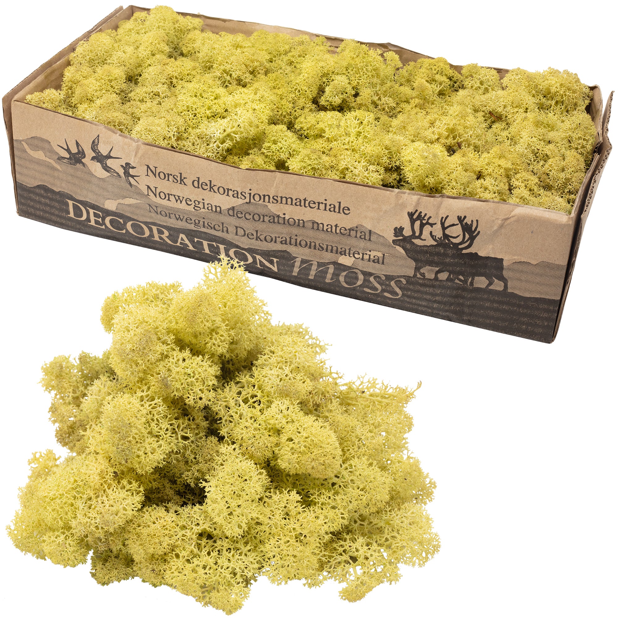 Karton Islandmoos Altgrün - 500g