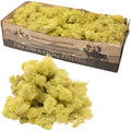 Mousse d'Islande en carton, vert ancien - 500 g
