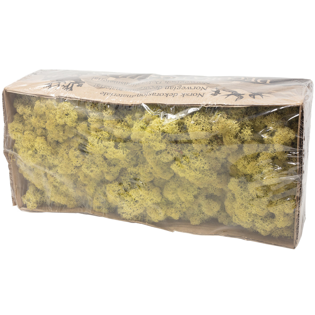 Karton Islandmoos Altgrün - 500g