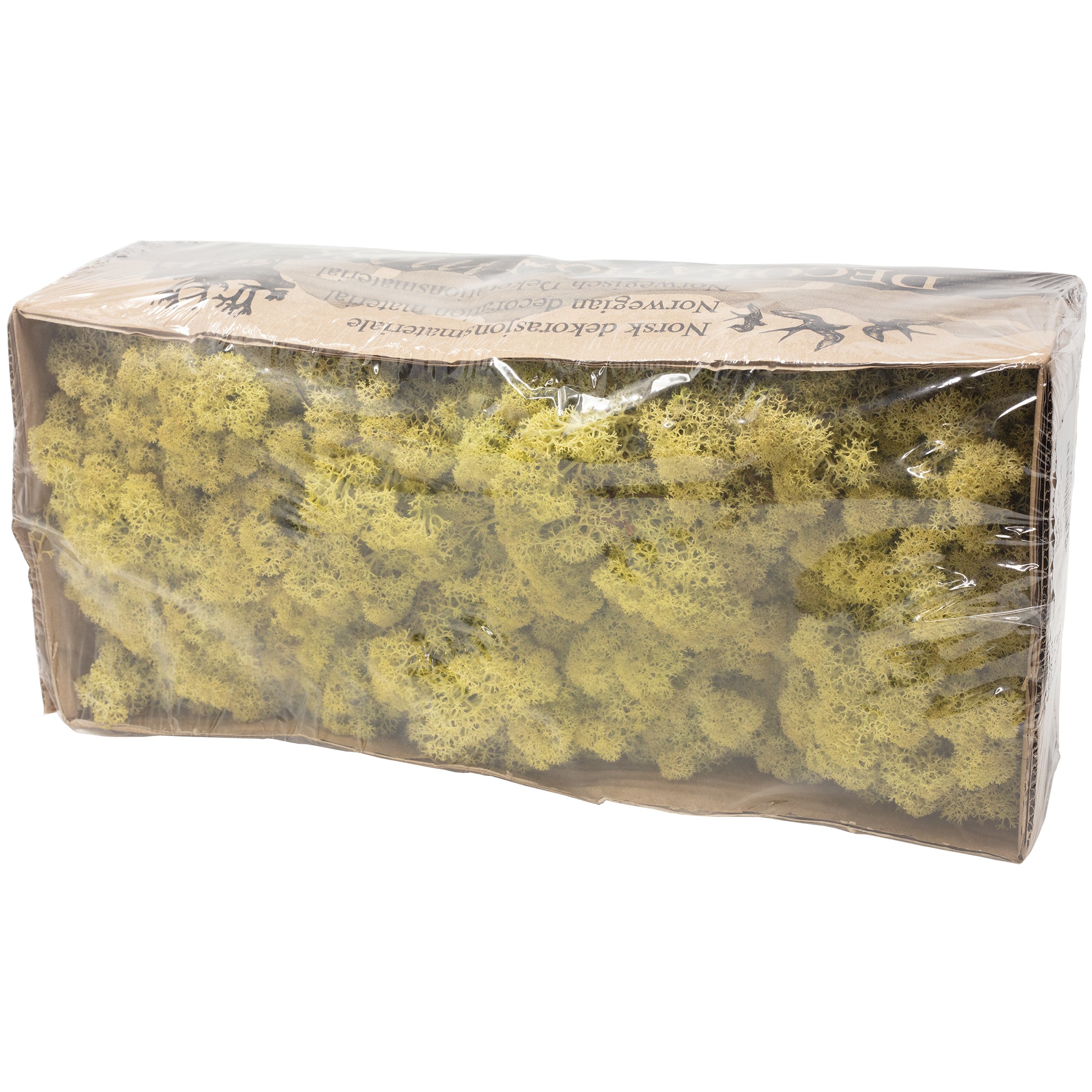Karton Islandmoos Altgrün - 500g