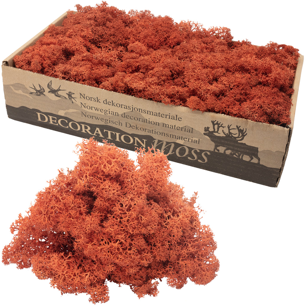 Cardboard Island Moss Siena Red - 500g