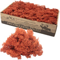Cardboard Island Moss Siena Red - 500g