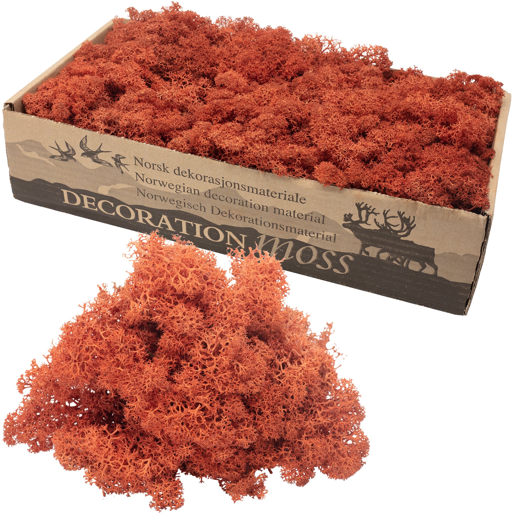 Cardboard Island Moss Siena Red - 500g