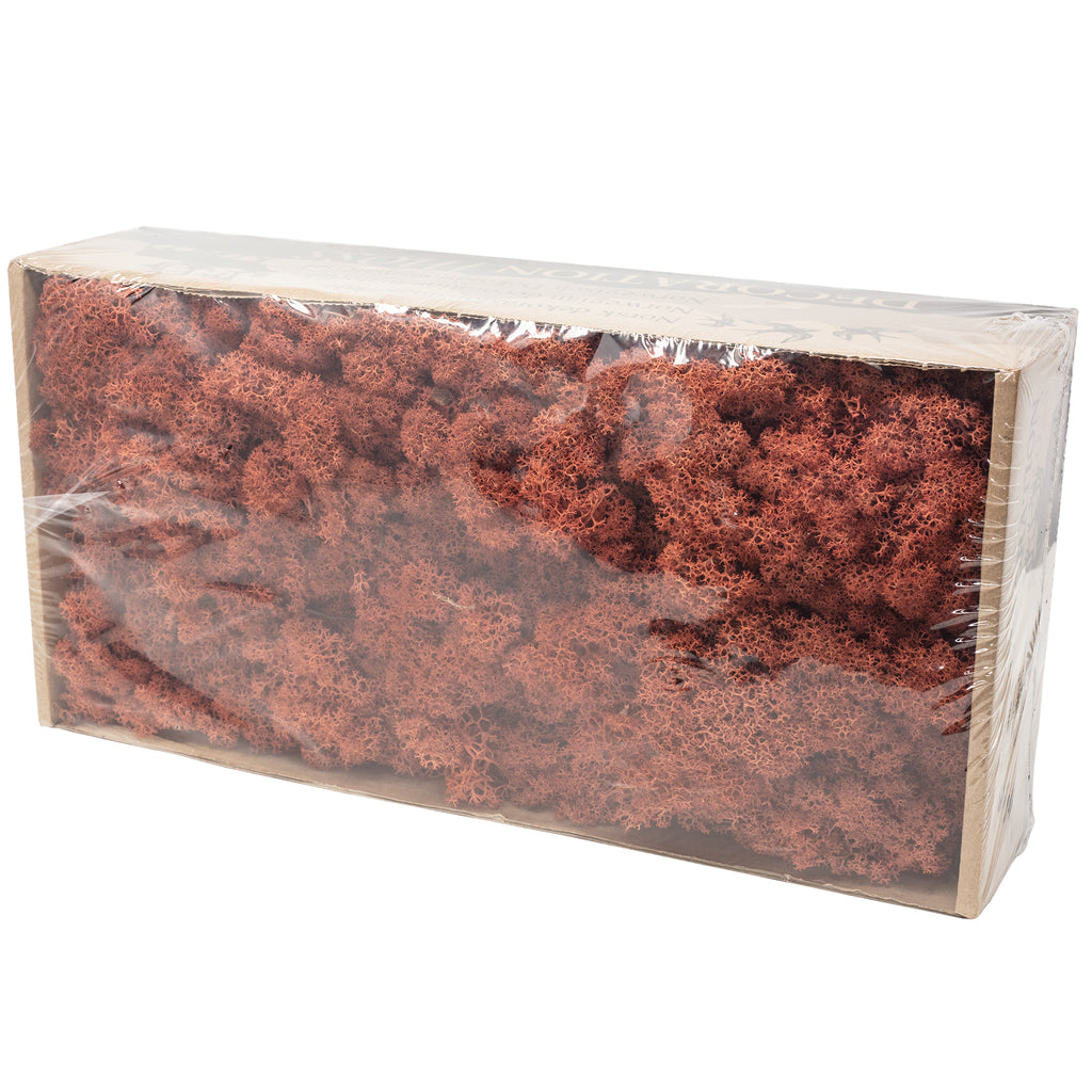 Karton Islandmoos Siena-Rot - 500g