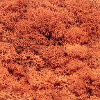 Karton Islandmoos Siena-Rot - 500g