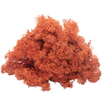 Karton Islandmoos Siena-Rot - 500g