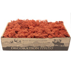Karton Islandmoos Siena-Rot - 500g