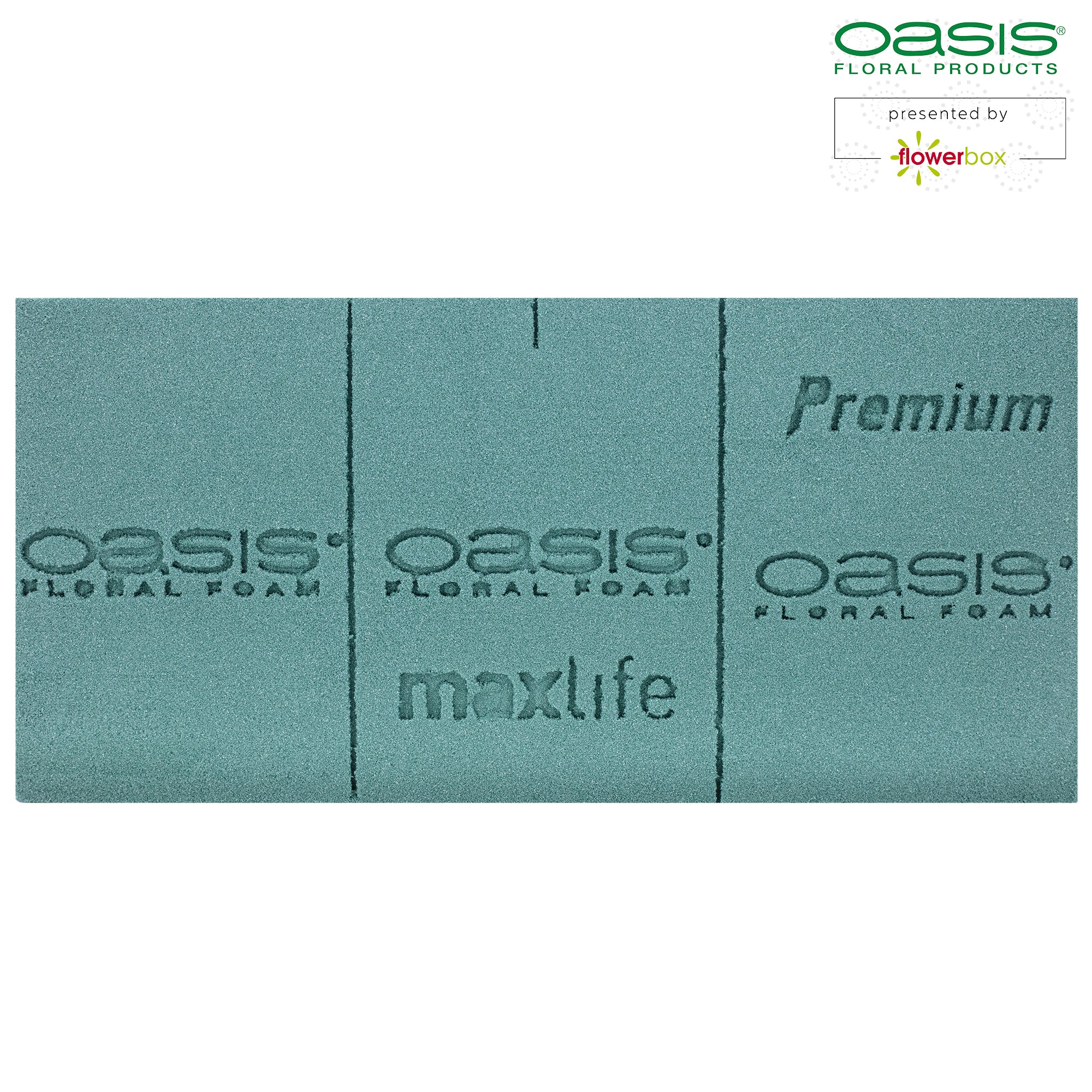 3x Original OASIS® Premium Steckschaum für längere Haltbarkeit bei Frischblumen - Steckmasse Blumen - Nasssteckschaum Hochzeit Geburtstag Kirche Ziegelform