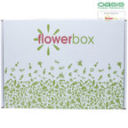 3x Original OASIS® SEC Steckschaum für Trockenblumen - Steckmasse Blumen - Trockensteckschaum Hochzeit Geburtstag Kirche Ziegelform