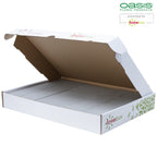 3x Original OASIS® SEC Steckschaum für Trockenblumen - Steckmasse Blumen - Trockensteckschaum Hochzeit Geburtstag Kirche Ziegelform