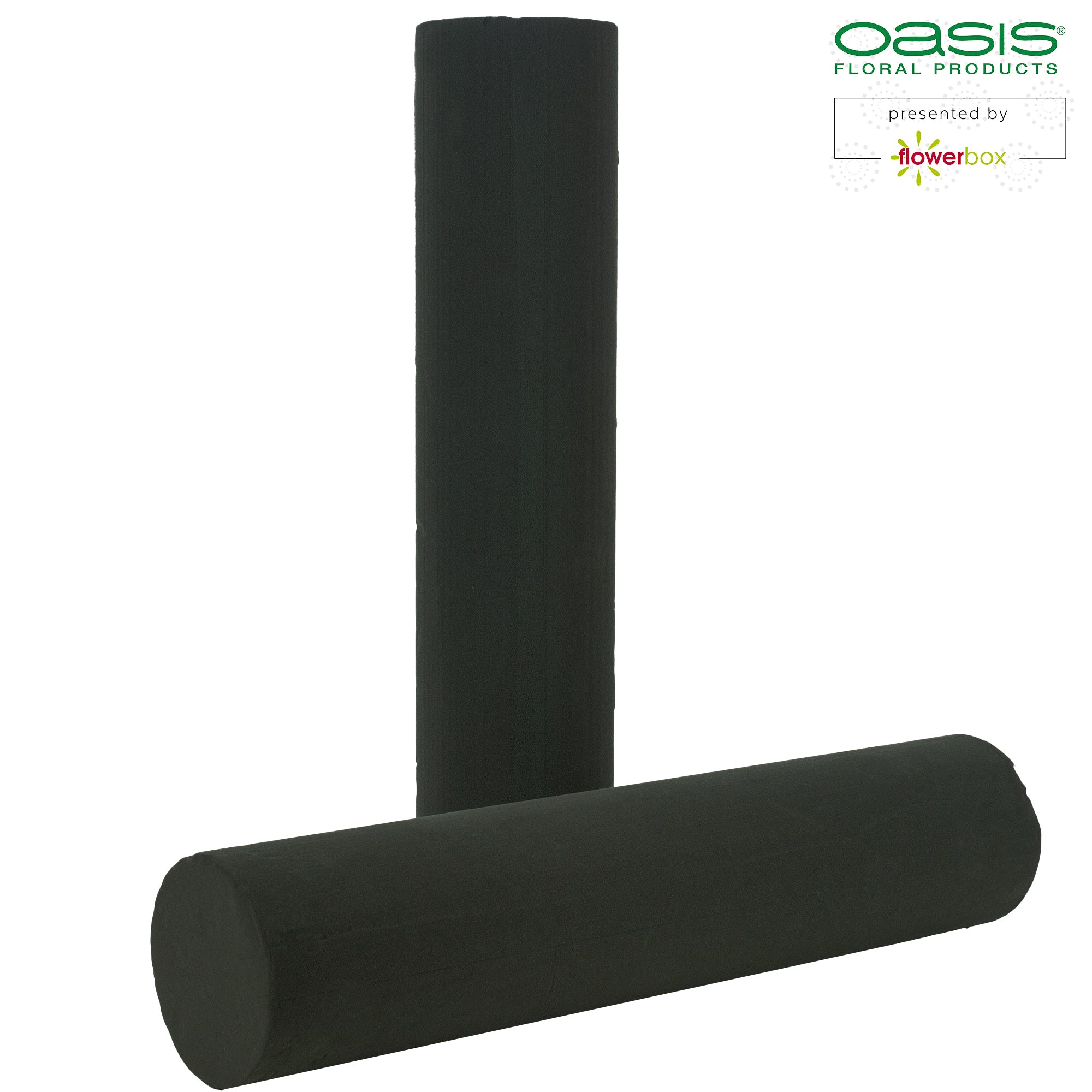 Tige cylindrique OASIS® BLACK IDEAL, Collection Designer - Hauteur 55 cm - Diamètre 12 cm - 2 pièces
