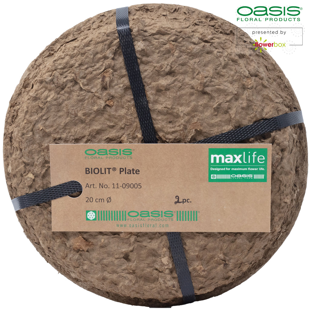 OASIS® BIOLIT® Flache Schale - Ø 20 cm - 2 Stück