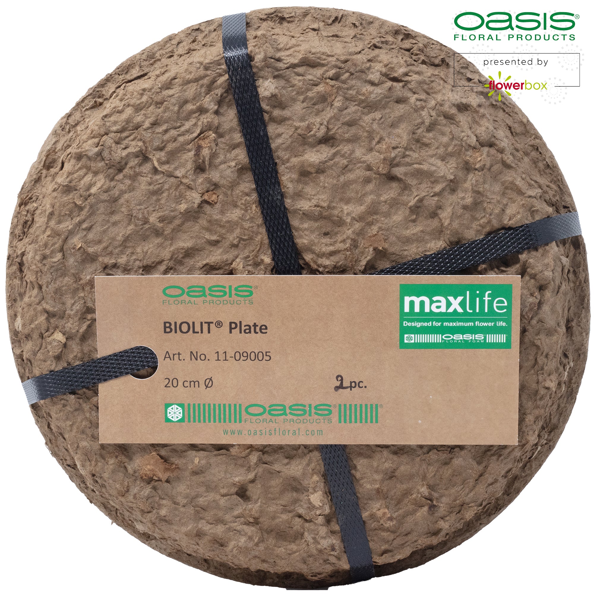 OASIS® BIOLIT® Flache Schale - Ø 20 cm - 2 Stück