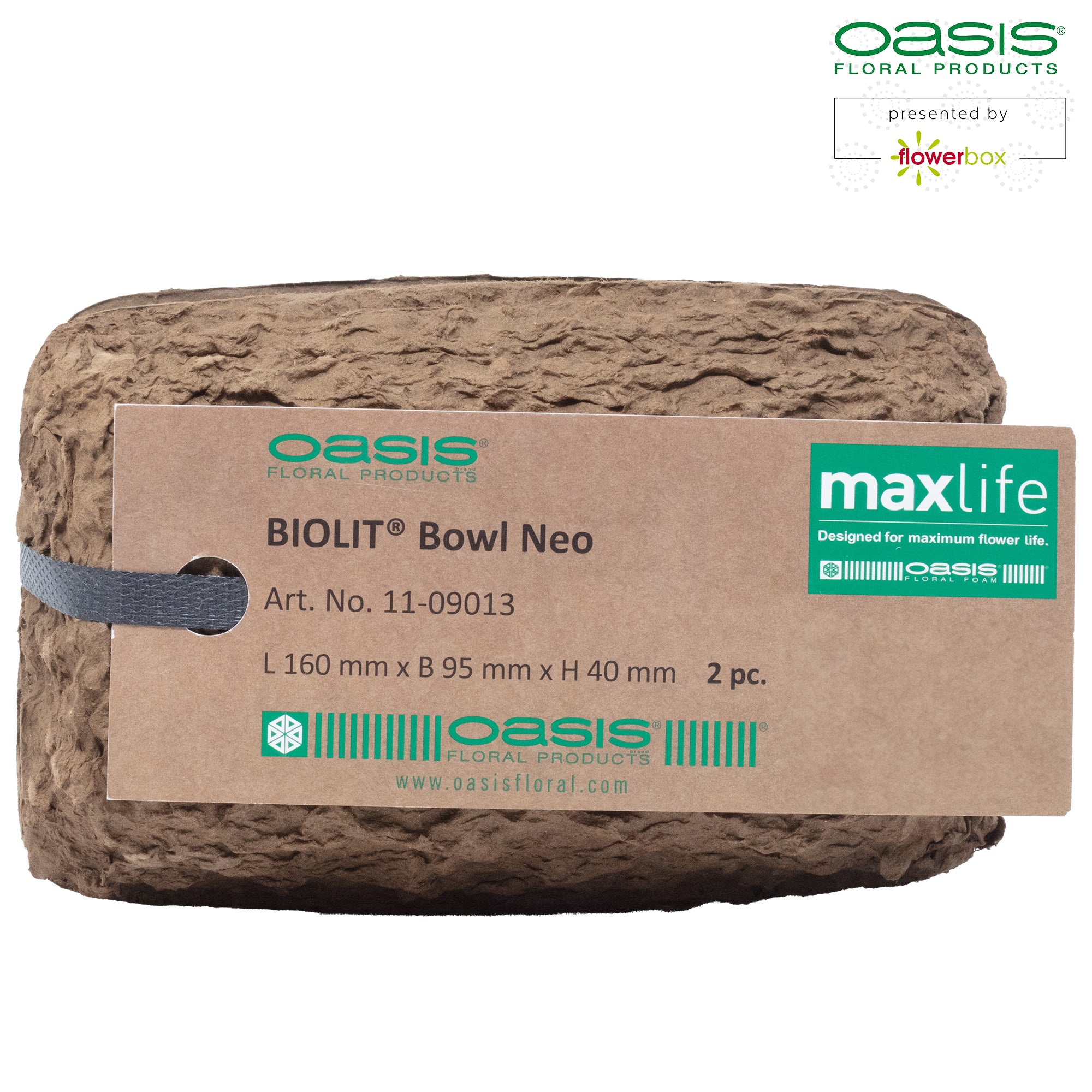 OASIS® BIOLIT® Schale Neo - 16 x 9,5 x 4 cm - 2 Stück