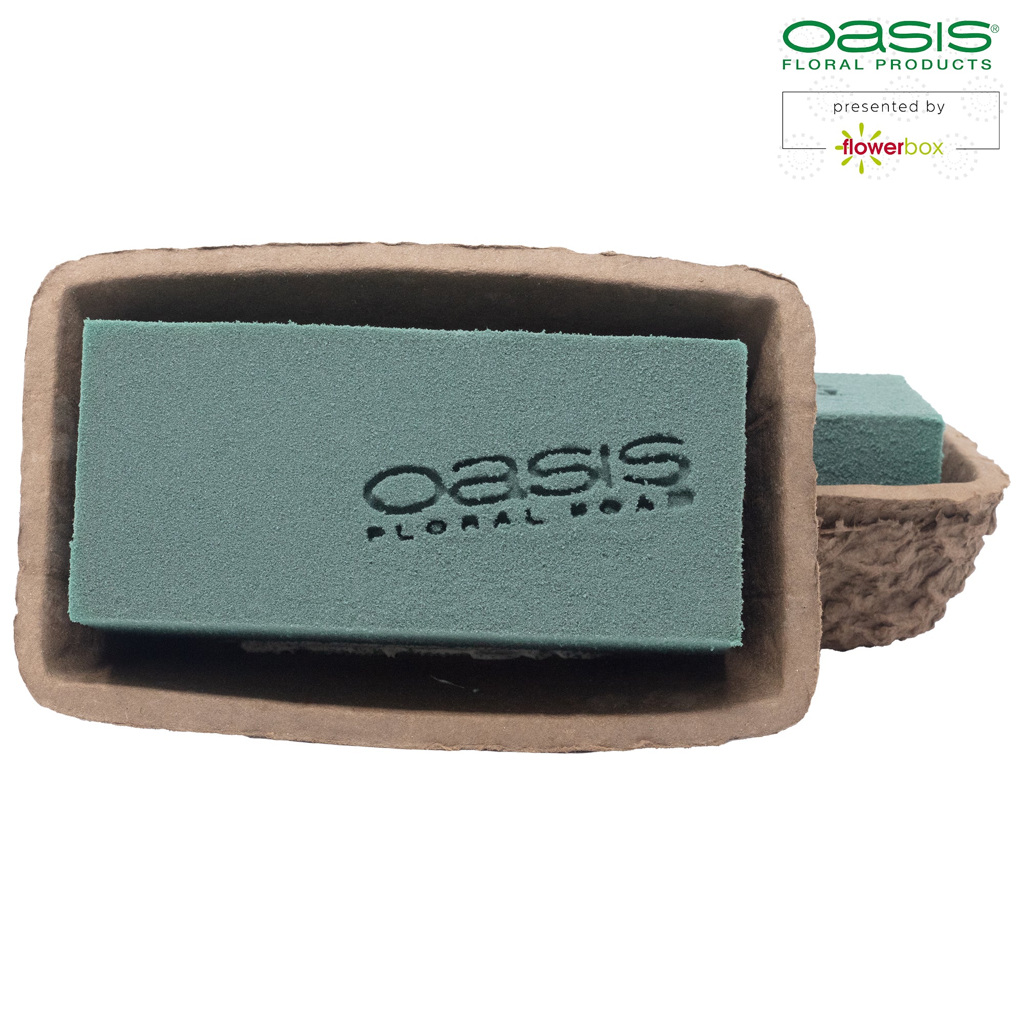 OASIS® BIOLIT® Schale Neo - 16 x 9,5 x 4 cm - 2 Stück