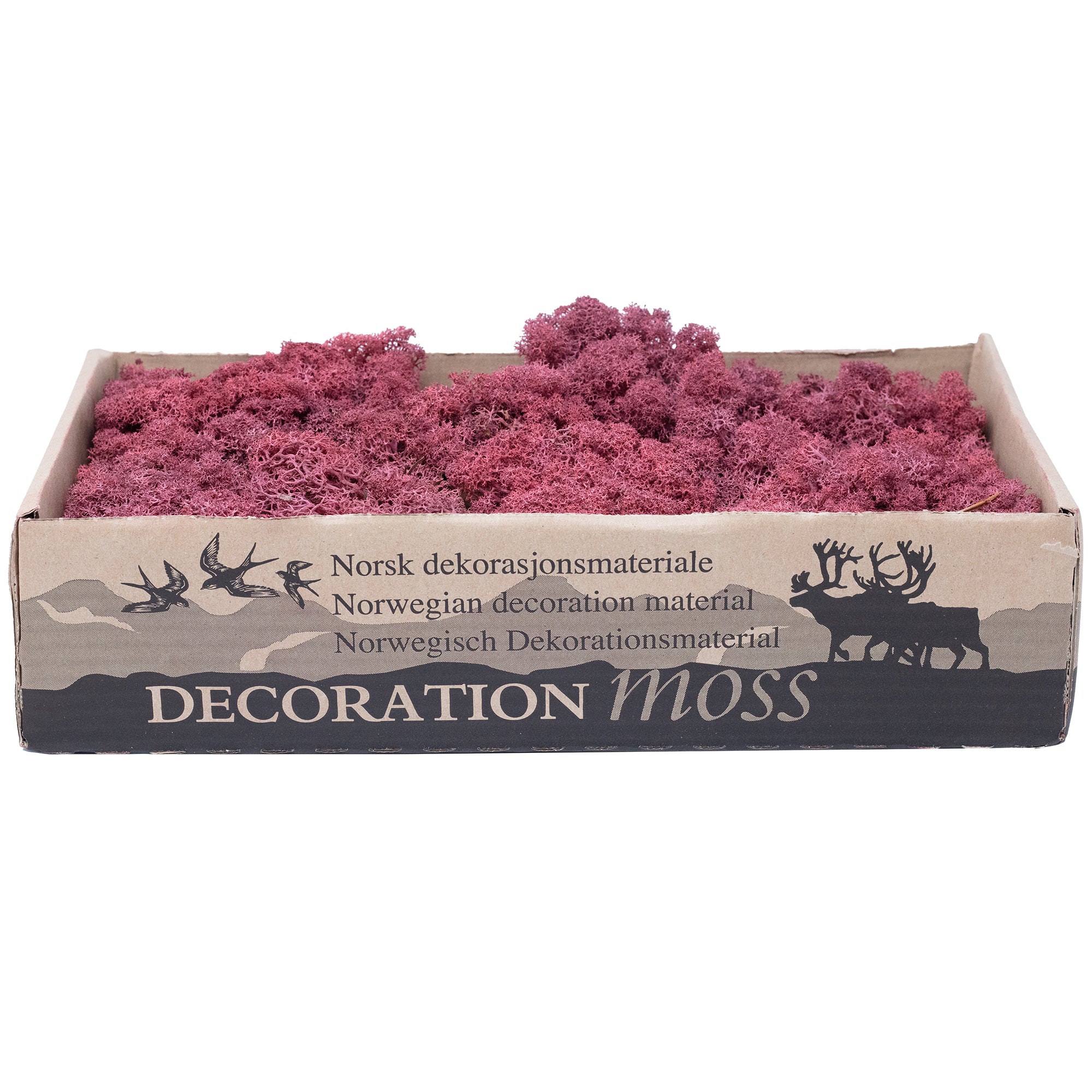Boîte de mousse de renne rouge bordeaux - 500 g