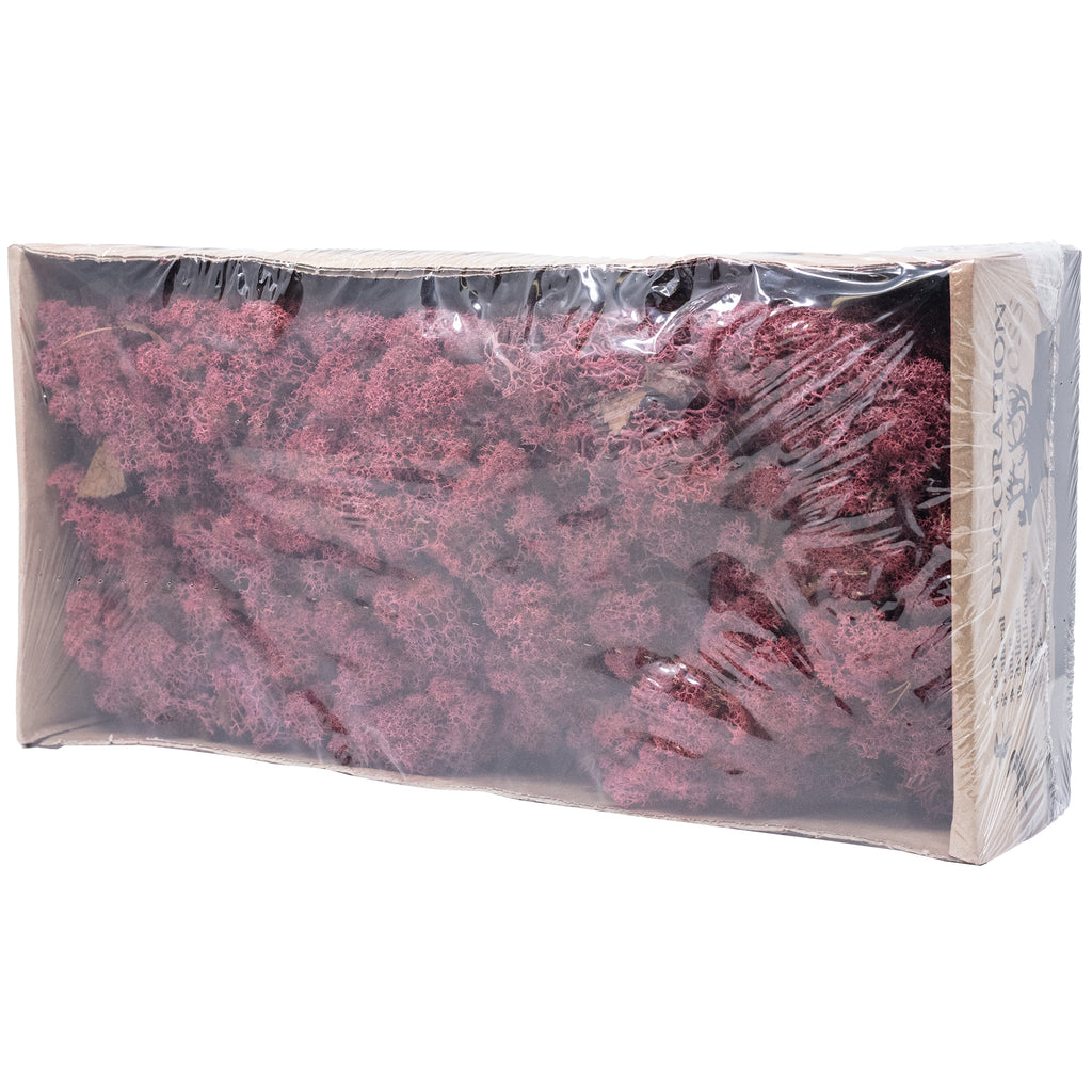 Boîte de mousse de renne rouge bordeaux - 500 g