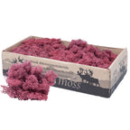 Boîte de mousse de renne rouge bordeaux - 500 g