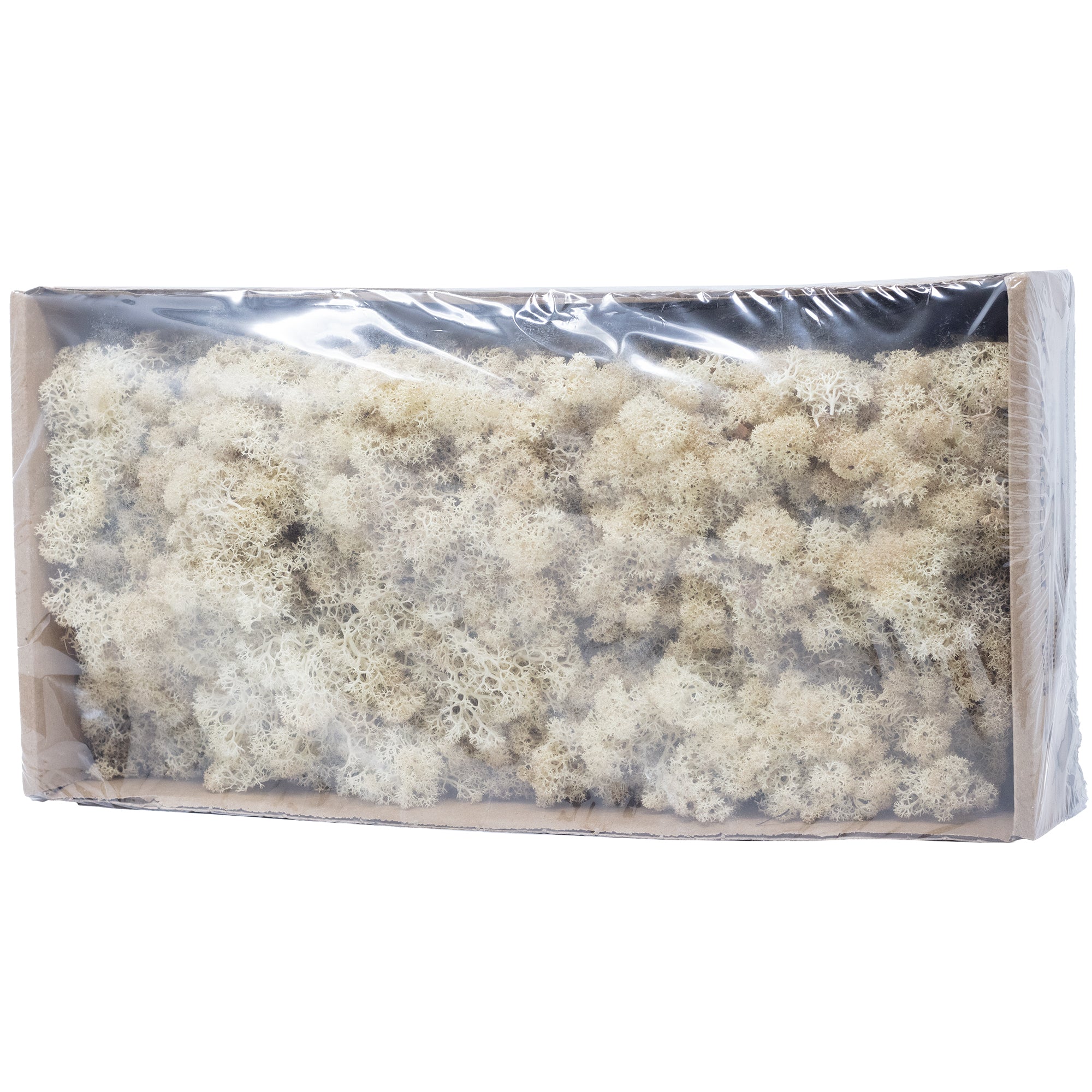 Karton Islandmoos Creme-Weiß- 500g
