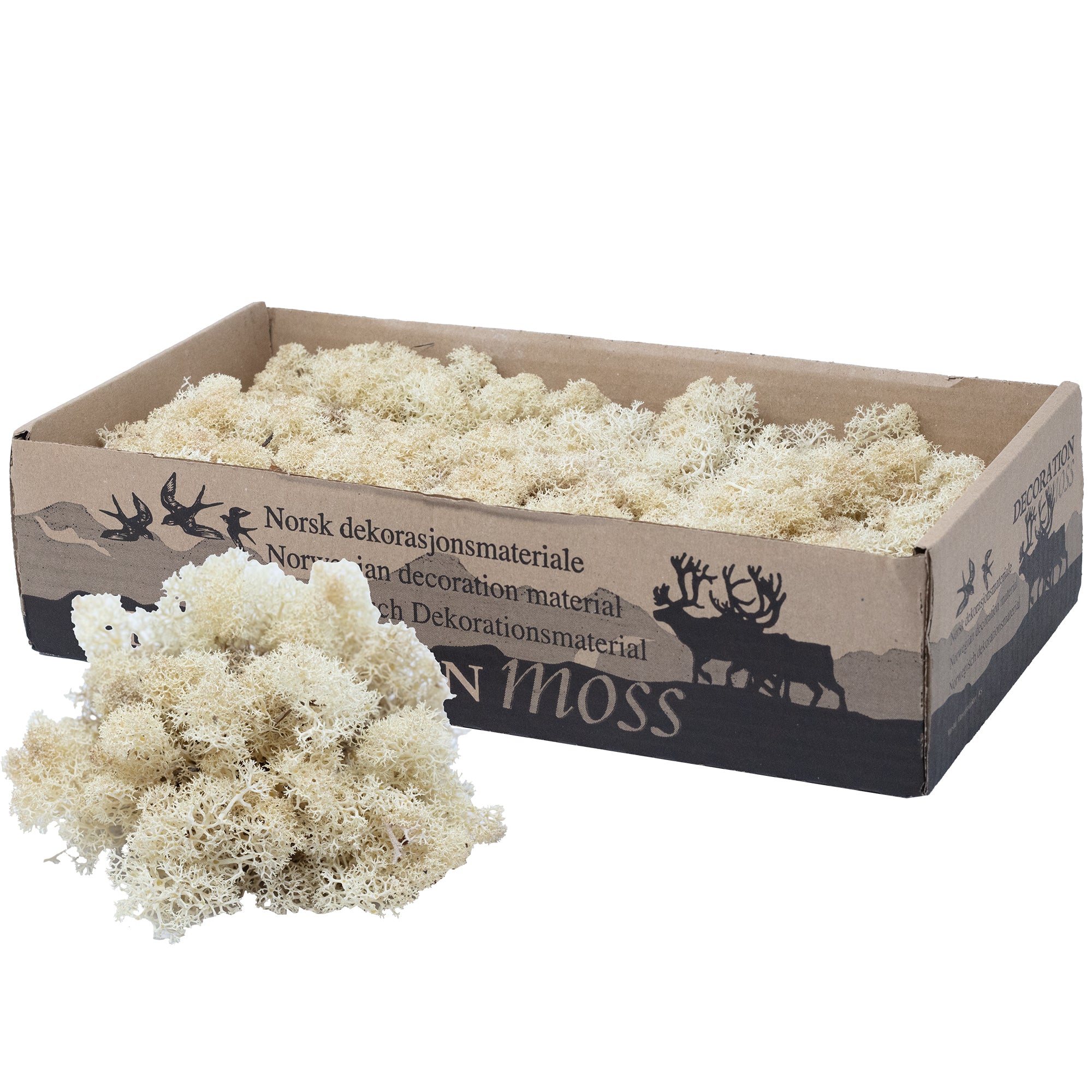 Karton Islandmoos Creme-Weiß- 500g