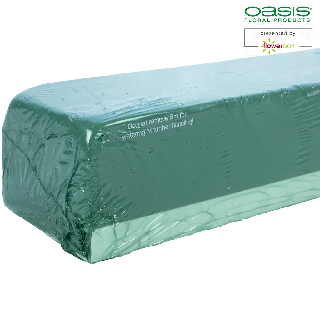OASIS® Raquette - 44 x 11,5 x 8 cm