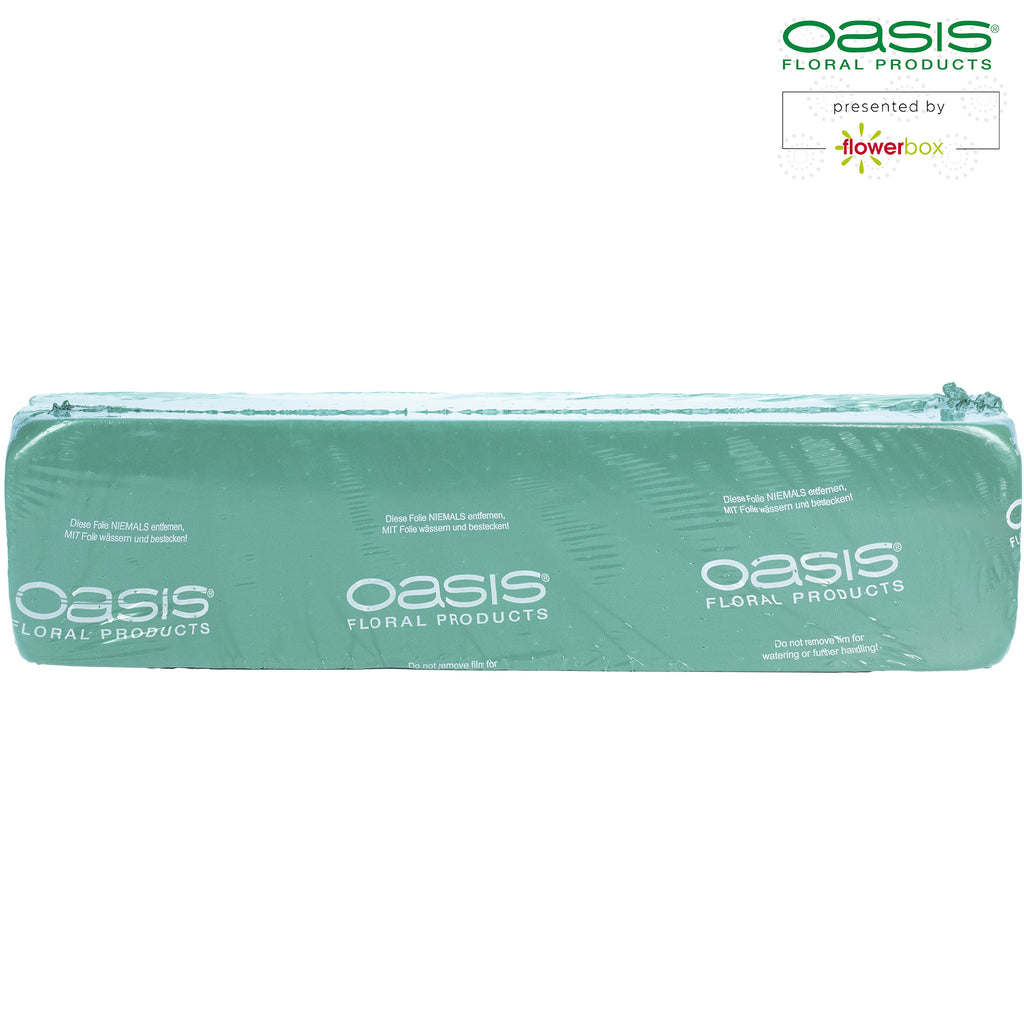 OASIS® Raquette - 44 x 11,5 x 8 cm