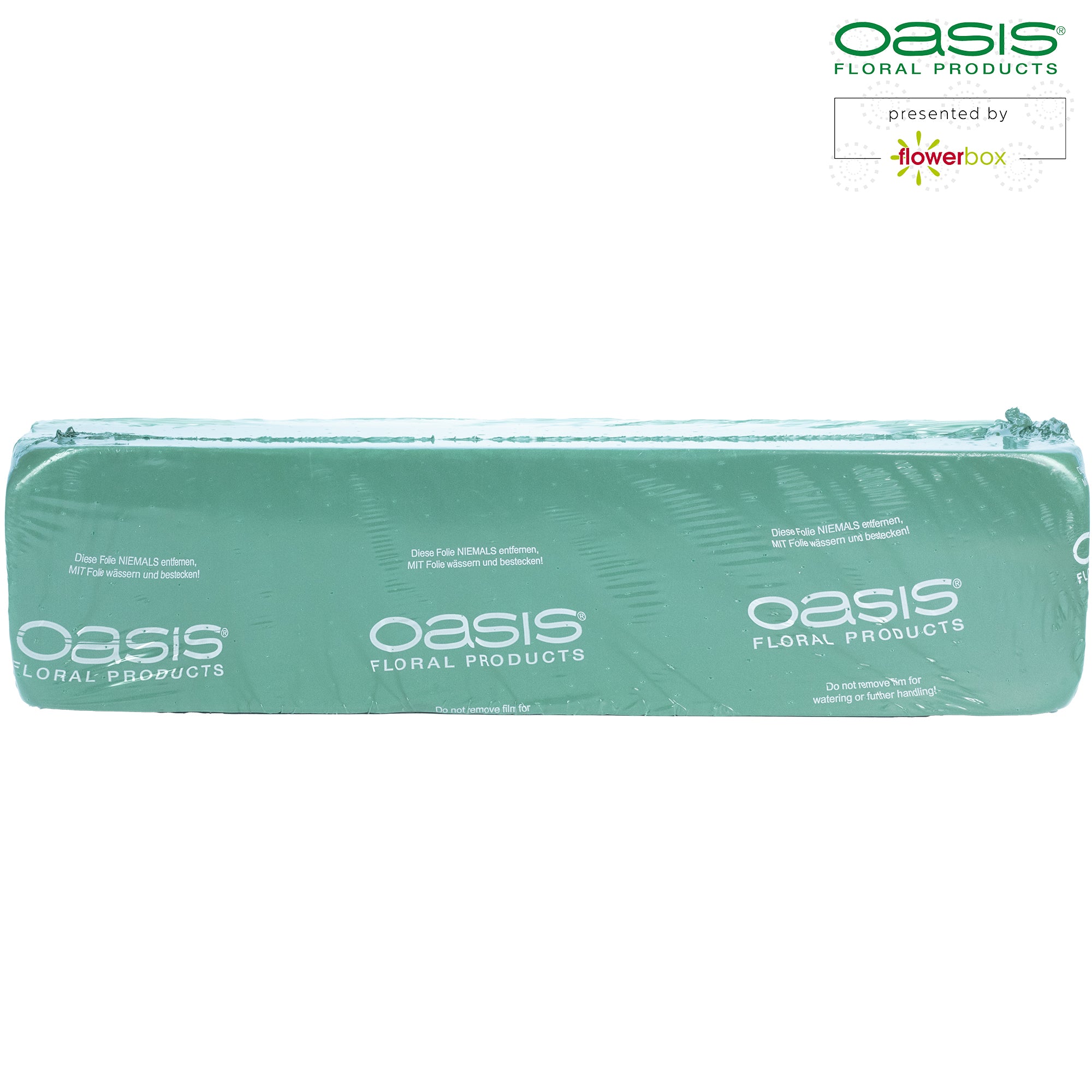 OASIS® Raquette - 44 x 11,5 x 8 cm