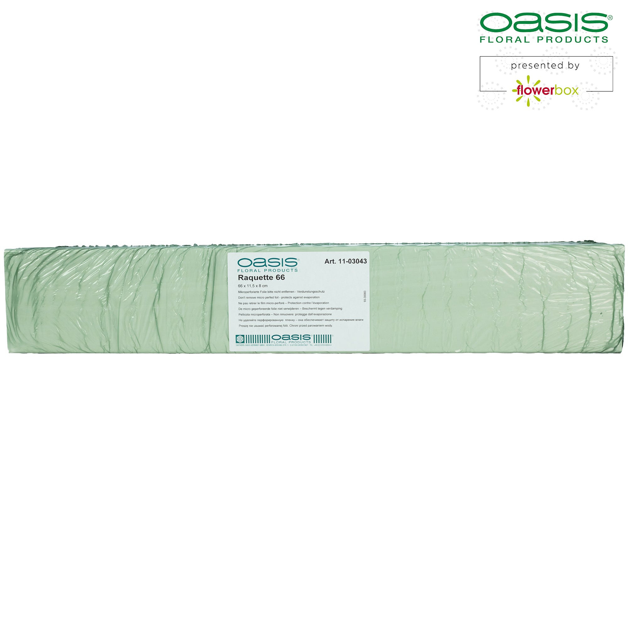 OASIS® Raquette - 66 x 11,5 x 8 cm