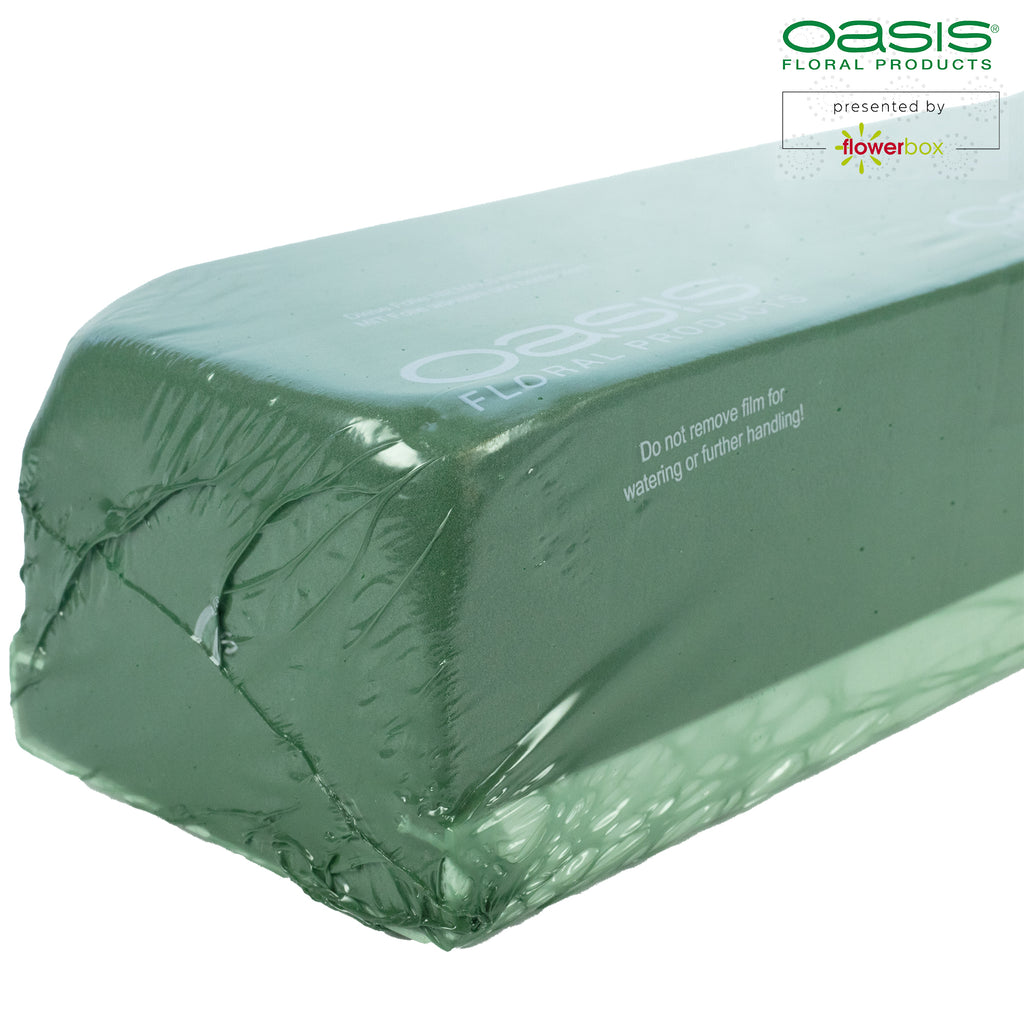 OASIS® Raquette - 66 x 11,5 x 8 cm