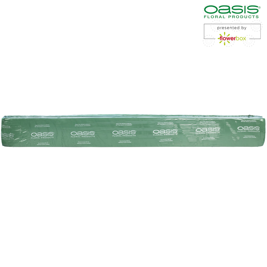 OASIS® Raquette - 100 x 11,5 x 8 cm