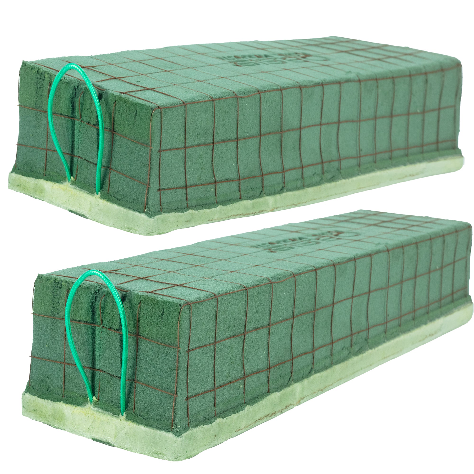 OASIS® ECObase® Raquette - 41 x 11 x 8,5 cm - 2 Stück