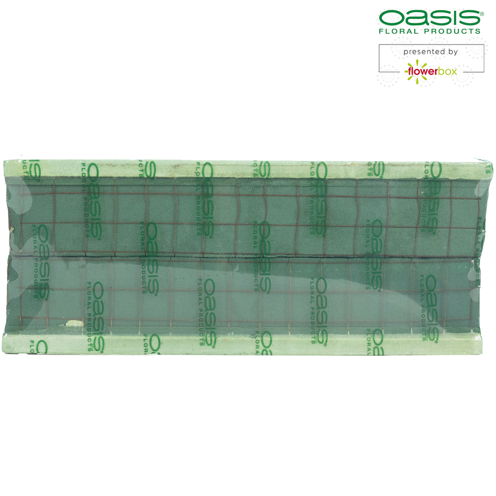 OASIS® ECObase® Raquette - 41 x 11 x 8,5 cm - 2 Stück