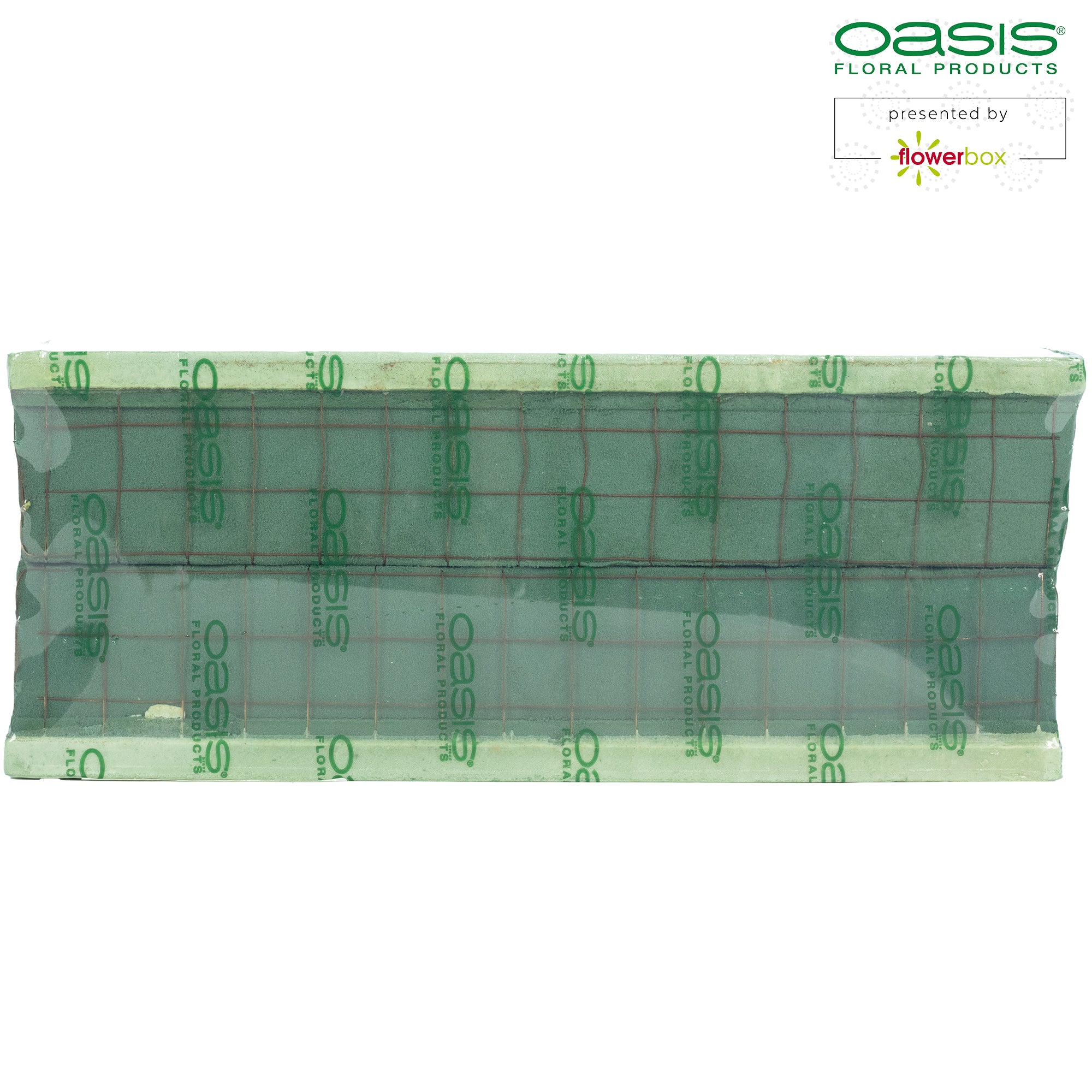 OASIS® ECObase® Raquette - 41 x 11 x 8,5 cm - 2 Stück